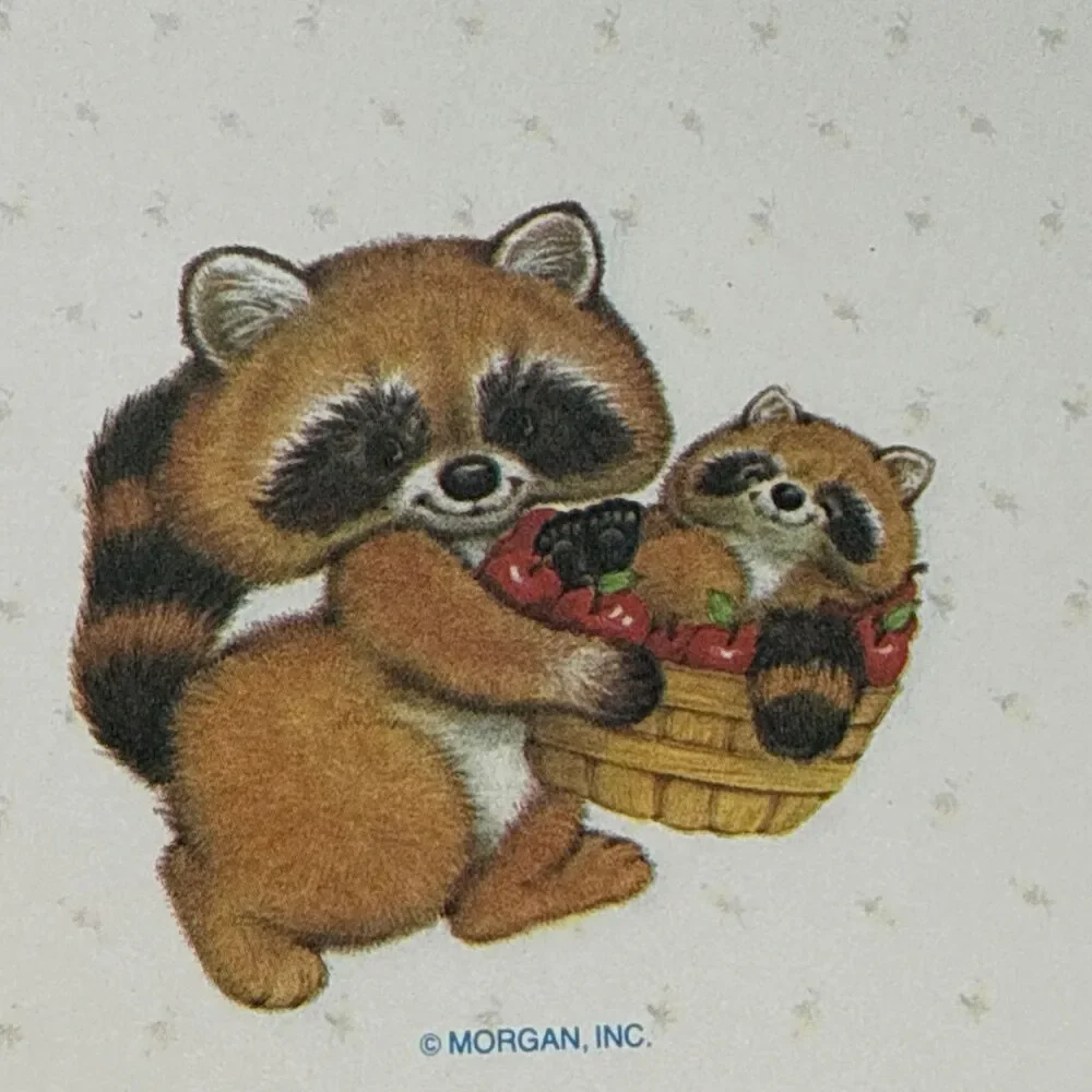 Montag Sittin Pretty Critter Sitters Stationery Raccoons Partial Box VTG 80s Lot
